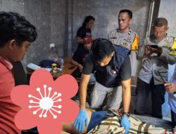 Diduga Kelelahan, Petani di Bone Meninggal Mendadak di Wisma
