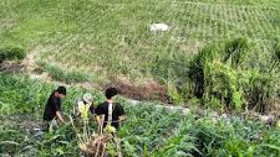 Kodim 1407/Bone Ubah Lahan Gersang Jadi Kebun Pangan Produktif