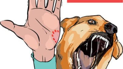 Sebanyak 400 Kasus Gigitan Hewan Rabies di Bone Terkendali