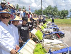 Bone Jadi Penghasil Beras Terbesar ke-5 di Indonesia, Bupati Apresiasi Petani