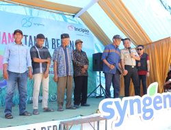 Bupati Bone Tanam Perdana IP300 di Kahu