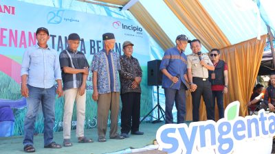 Bupati Bone Tanam Perdana IP300 di Kahu