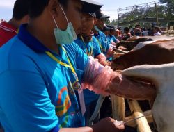 Roslan, Inseminator Bone Raih Peringkat 1 Nasional